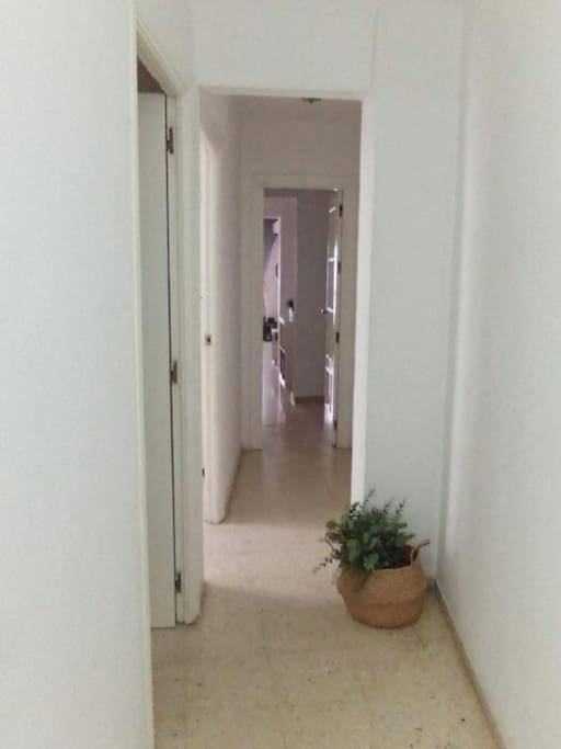 Apartamento Plaza Toros Sevilla Exteriör bild